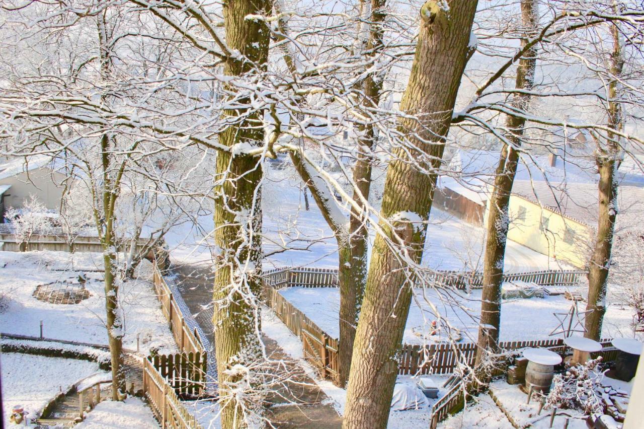 Doellinger Messe Fraenkisches Seenland Apartment *