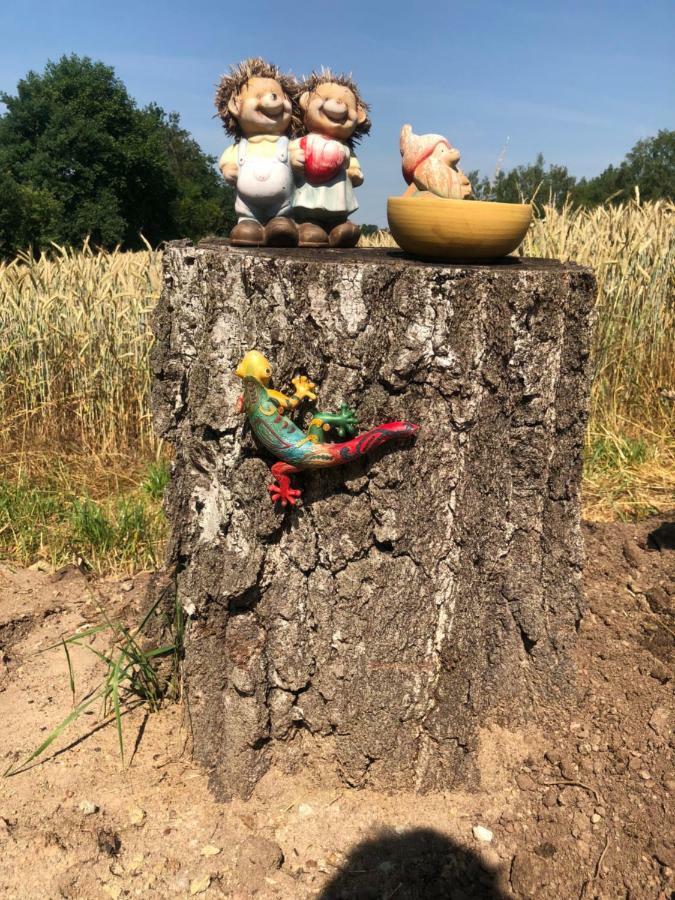 Doellinger Messe Fraenkisches Seenland *